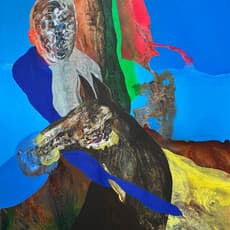 Christophe Miralles