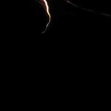 Jose Alvaro Perdices