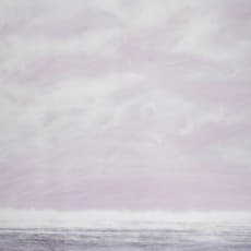 Elizabeth Dow