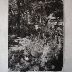 Birde Vanheerswynghels