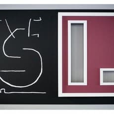 Spider and The Bottle