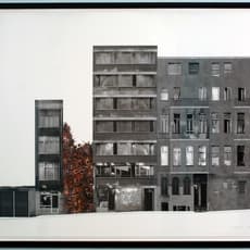 Doris Salcedo