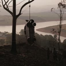Lucas Bambozzi