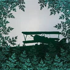 Unwoo Lee