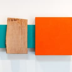 David Trowbridge (1945-2009)