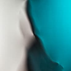Diego Dominici