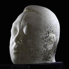 Shin Ho Yoon
