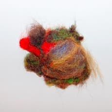 Hrafnhildur Arnardóttir