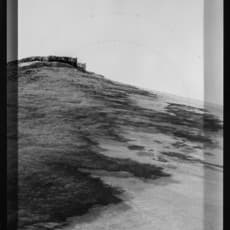 Edoardo Dionea Cicconi