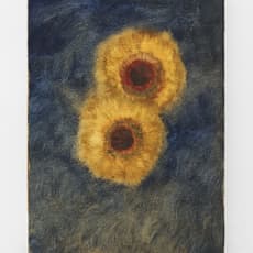 Clara Gesang-Gottowt