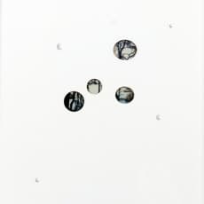 Antonia Contro