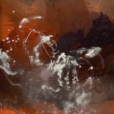 Celia Lees