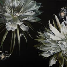 Hallie Packard