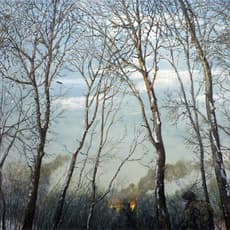 Chester Arnold