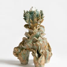 Shuyi Cao