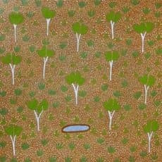 Artists of Ampilatwatja