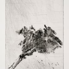 Lucas Reiner