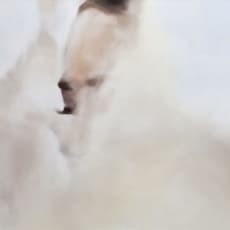 Judith Eisler