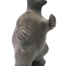 Tuna Iquliq