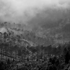 Zulkarnaen Syri Lokesyware