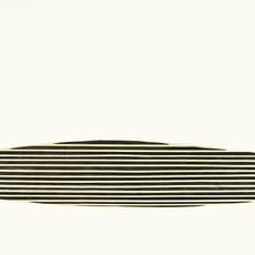 François-Xavier Marange