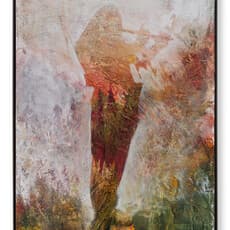 Rômulo Avi Oliveira