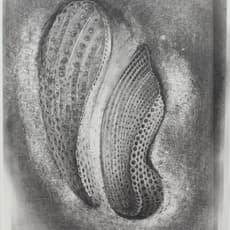 Stephen Talasnik