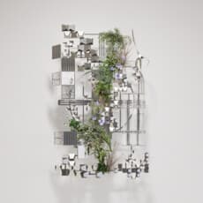 Queena Wang