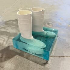 Deborah Oropallo and Michael Goldin