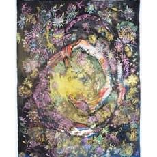 Virginie De Limbourg