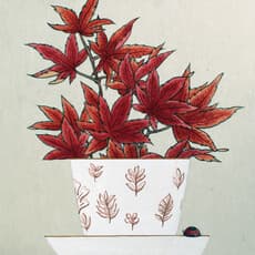 Dawoon KIM 김다운