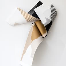 Fabio Lattanzi Antinori