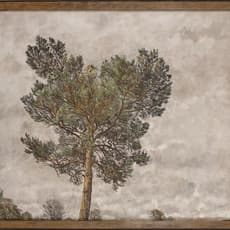 Christopher Bramham