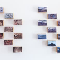 Miriam Syowia Kyambi