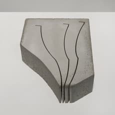 Jennifer Rose Sciarrino