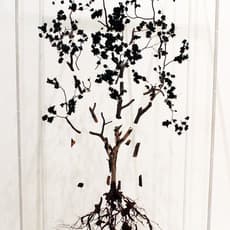 Jorge Mayet