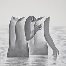 Safwan Dahoul