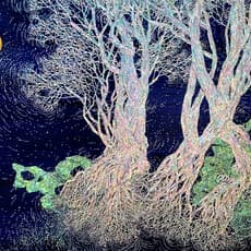 Heeseop PARK 박희섭