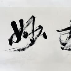 Liu Zhengcheng 刘正成