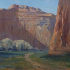 Cynthia Eckhardt