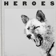 Ragnar Axelsson (RAX)