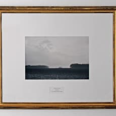 Jacqueline Mesmaeker