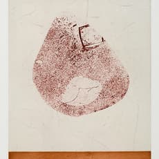 Lucie Jolicoeur-Côté