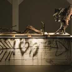 Huma Bhabha