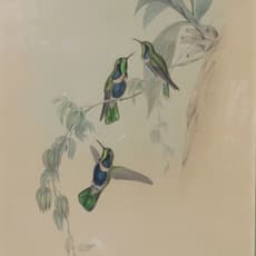 John Gould