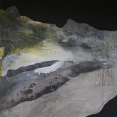 Michael Denton