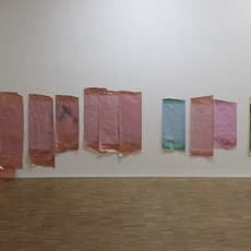 Anne Schneider