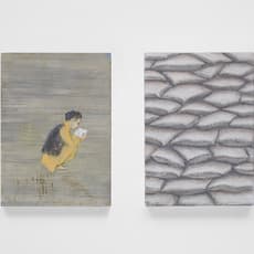 Francis Alÿs