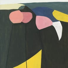Rob Lyon