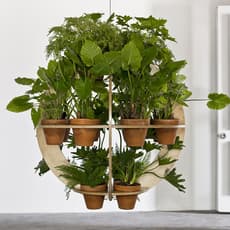 Francisco De La Torre